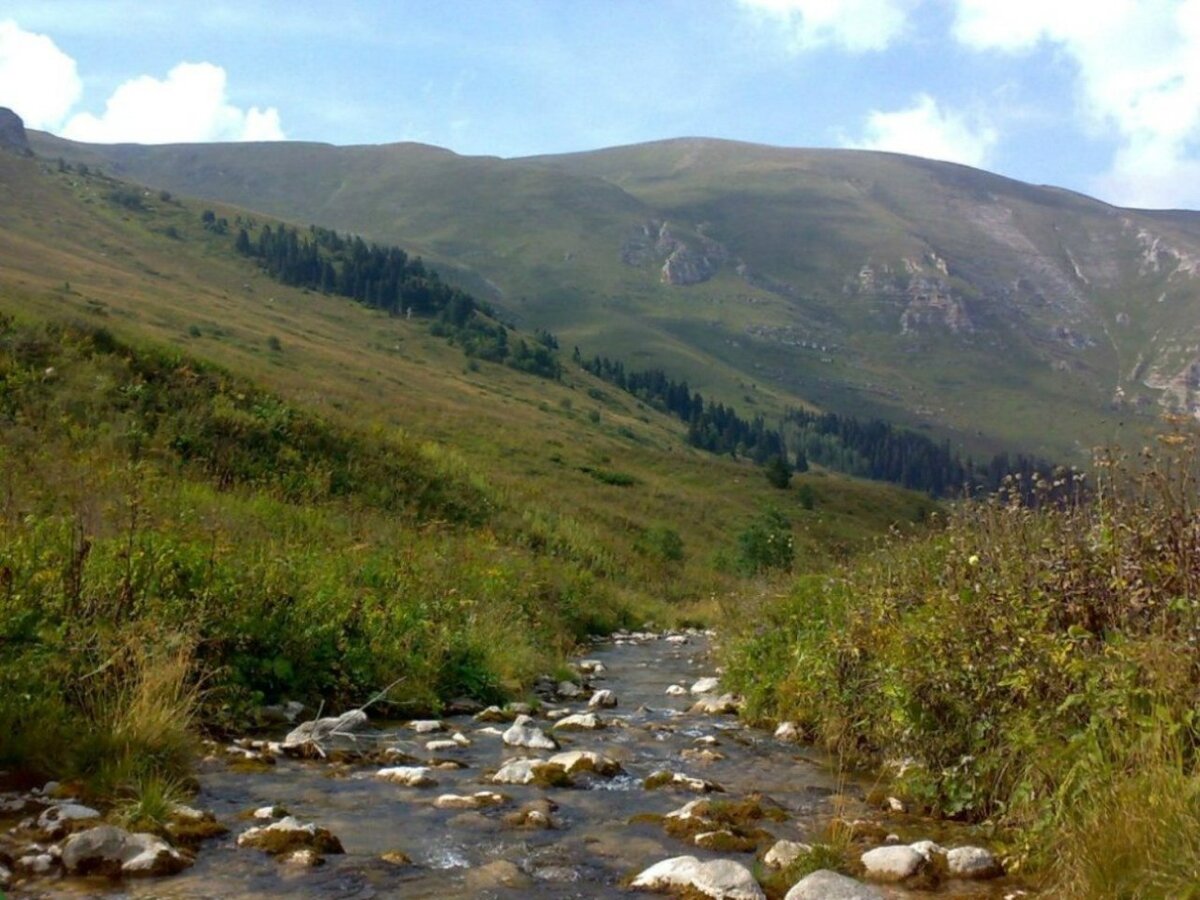 Аул Абадзехская Адыгея