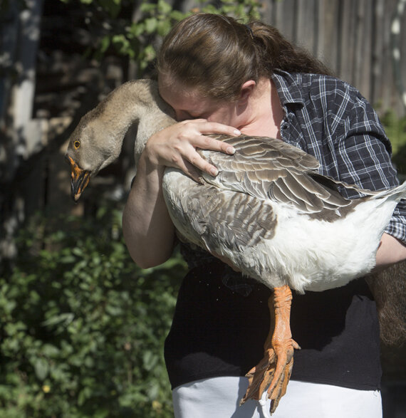 Алёна и Иви 
