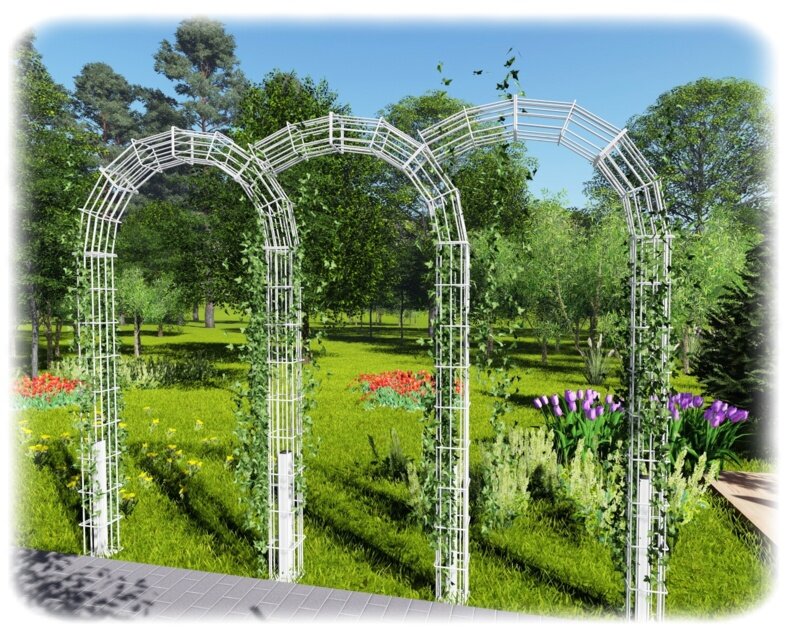 Фото из открытого источника