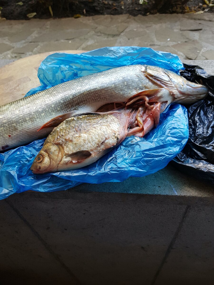 А вот и добыча.