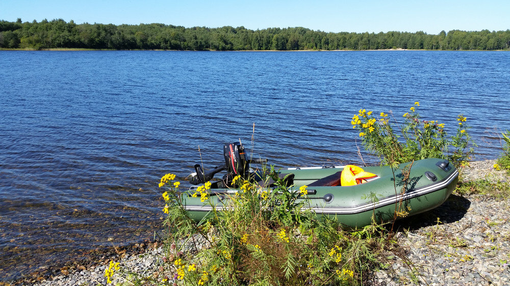 погода в шальском карелия рп5 на неделю. шальский карелия. погода в шальском карелия рп5 на неделю. шальский. поселок шальский карелия.