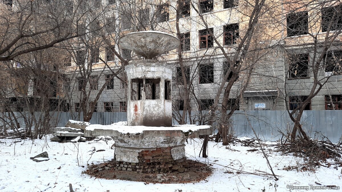 Листайте вправо, чтобы посмотреть остальные фотографии