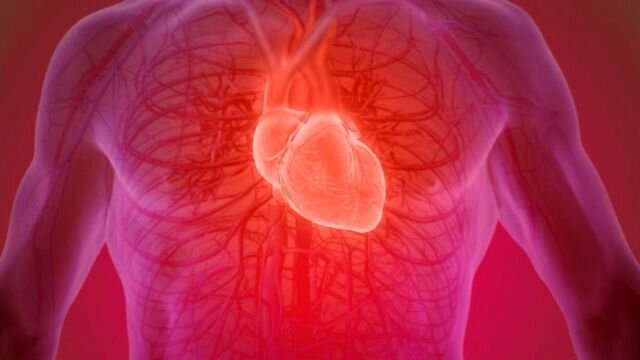 Аритмия – это любое отклонение сердцебиения от нормы, свойственной вашему возрасту и нагрузке.-2