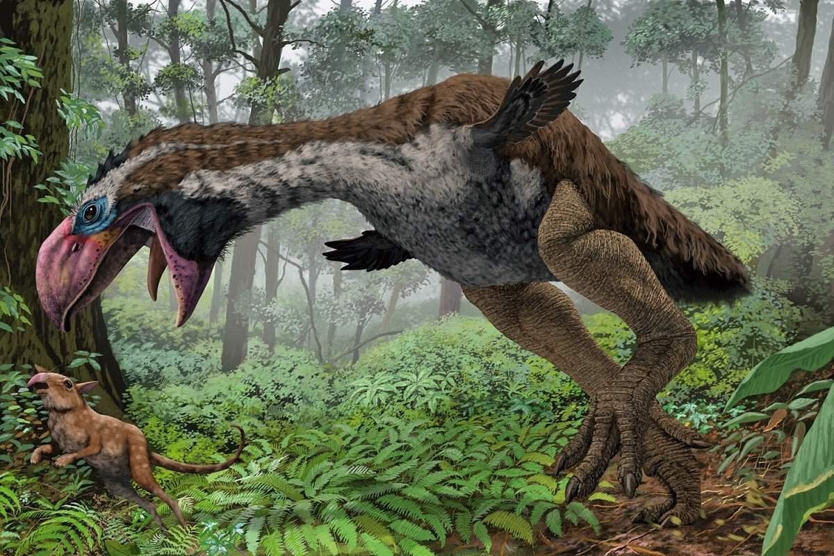 Фото:yandex.ru/images/