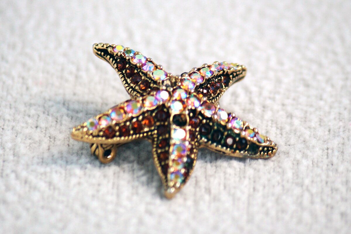 Брошь морская звезда. Фото автора канала. Листайте галерею, чтобы посмотреть на другие