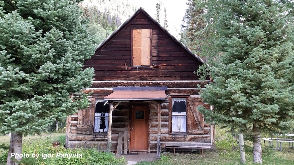 Американская дача в лесу