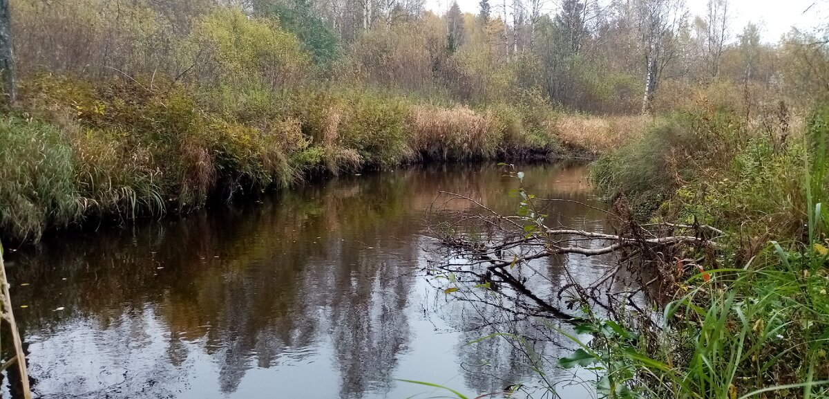 В таких речках рыба держится с нереста, до осенних заморозков.