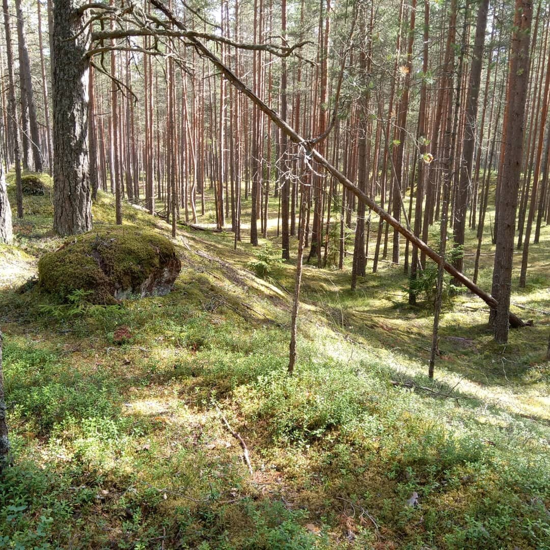 Фото автора.