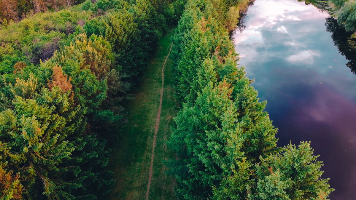 Известная среди местных "Тропа Здоровья"