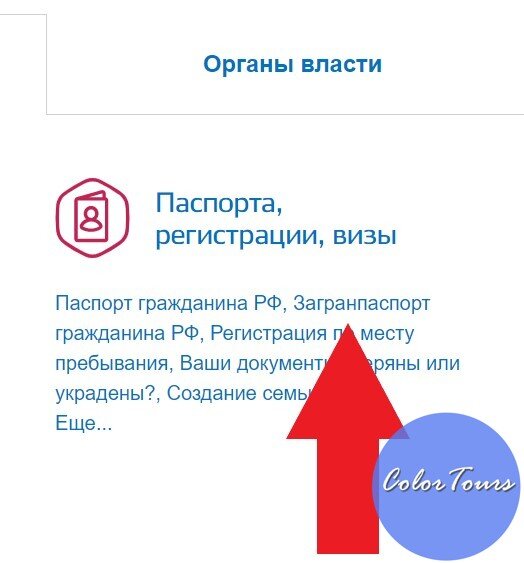 Скриншот с сайта госуслуг