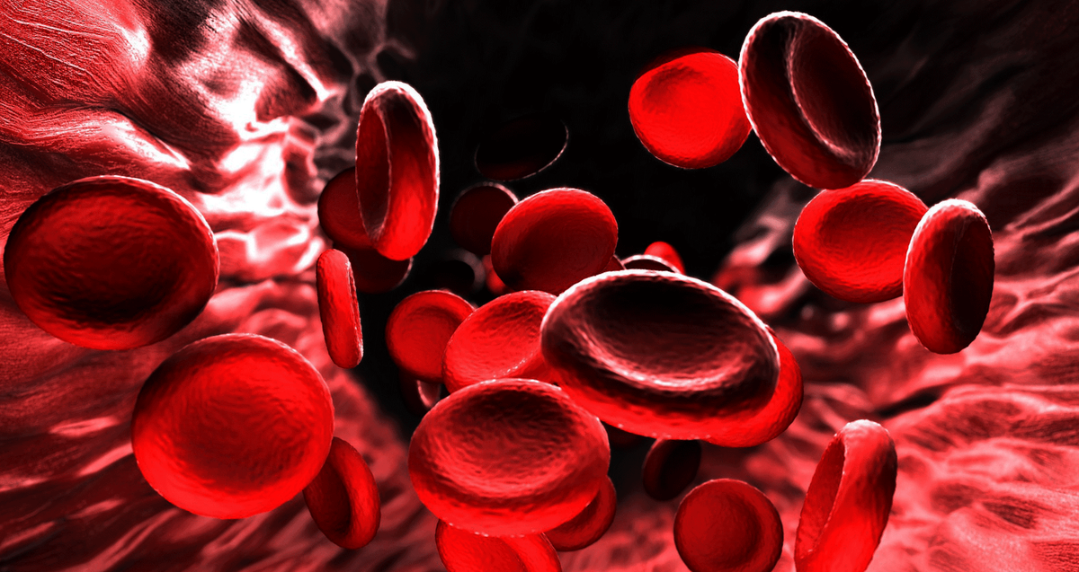 Гемоглобин - основное "транспортное средство" для доставки кислорода по всему организму