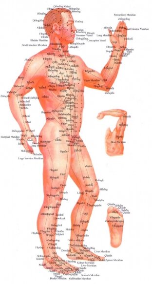 Энергия Ци проходит по меридианам за сутки:
