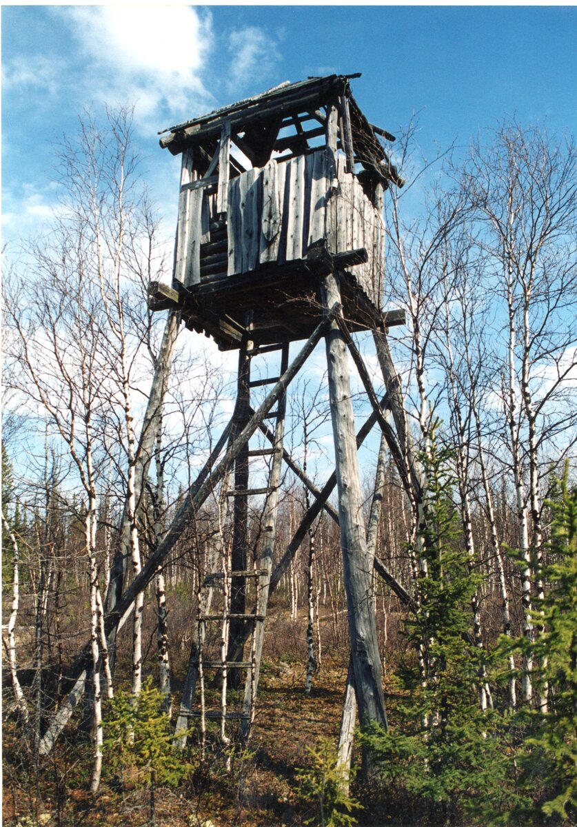 Останки 501-й стройки. Фото: В. Липатов