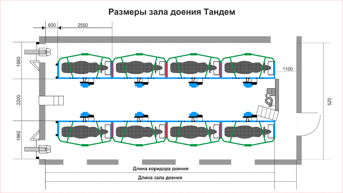 Интенсификация технологических процессов и повышение эффективности техники  для молочных ферм | Рынок АПК | Дзен