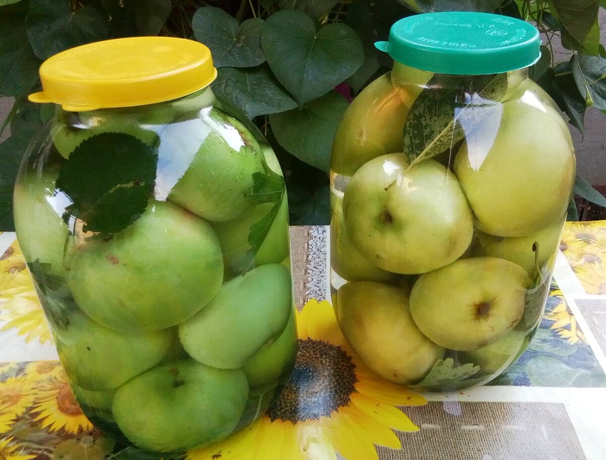 Кислые моченые яблоки