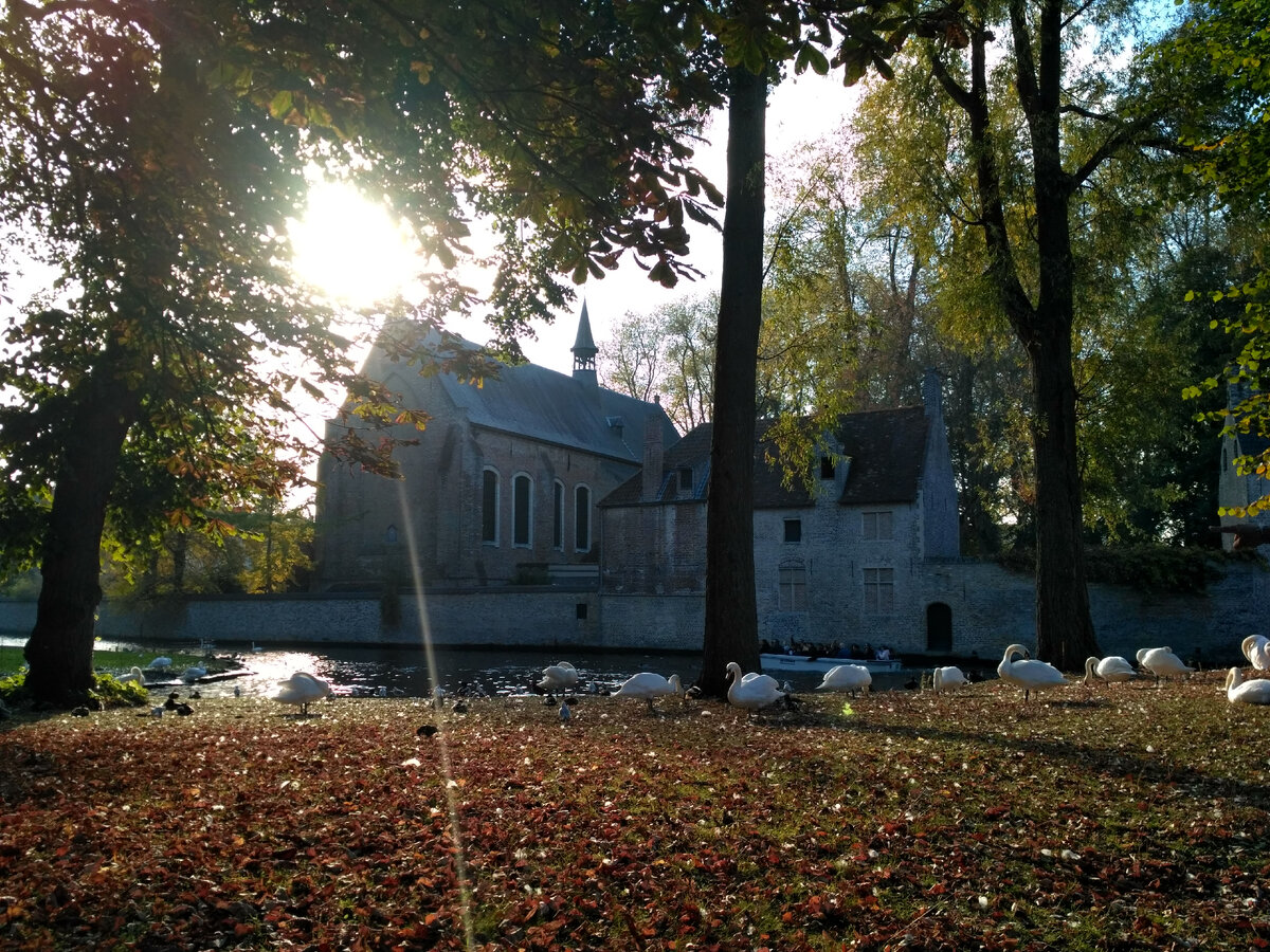 Фото автора. Брюгге, 2018