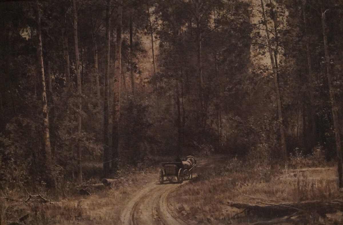 Дорога в лесу