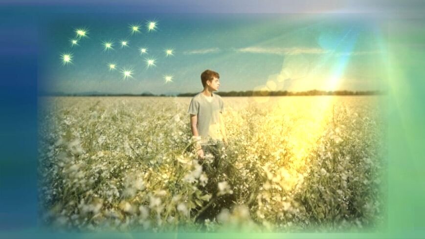 Коллаж автора. Источники для коллажирования Яндекс.Картинки