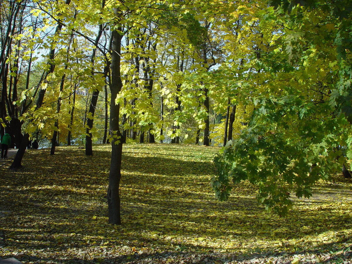 Там же и тогда же.