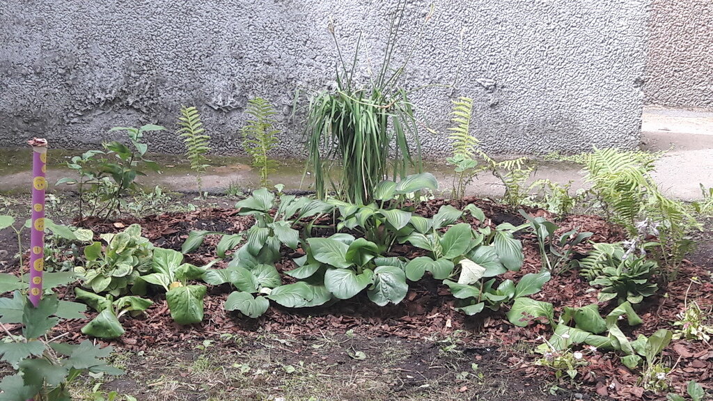 Начало.   Фото автора август 2019 года