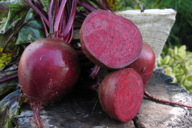 Свёкла столовая Пабло F1 (Bejo Zaden B.V.)