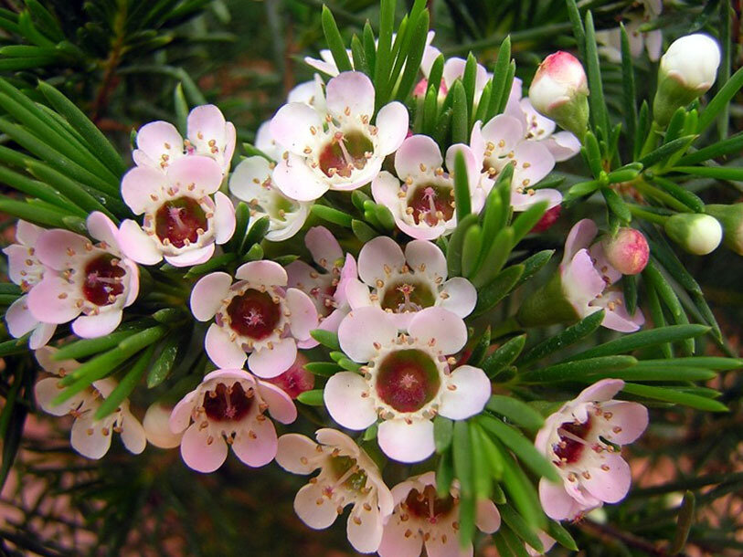 Фото из открытых источников для иллюстрации к тексту.