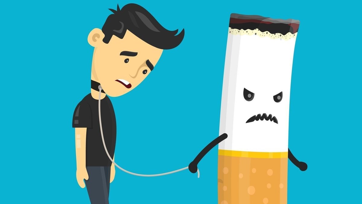 Источник: Яндекс-картинки