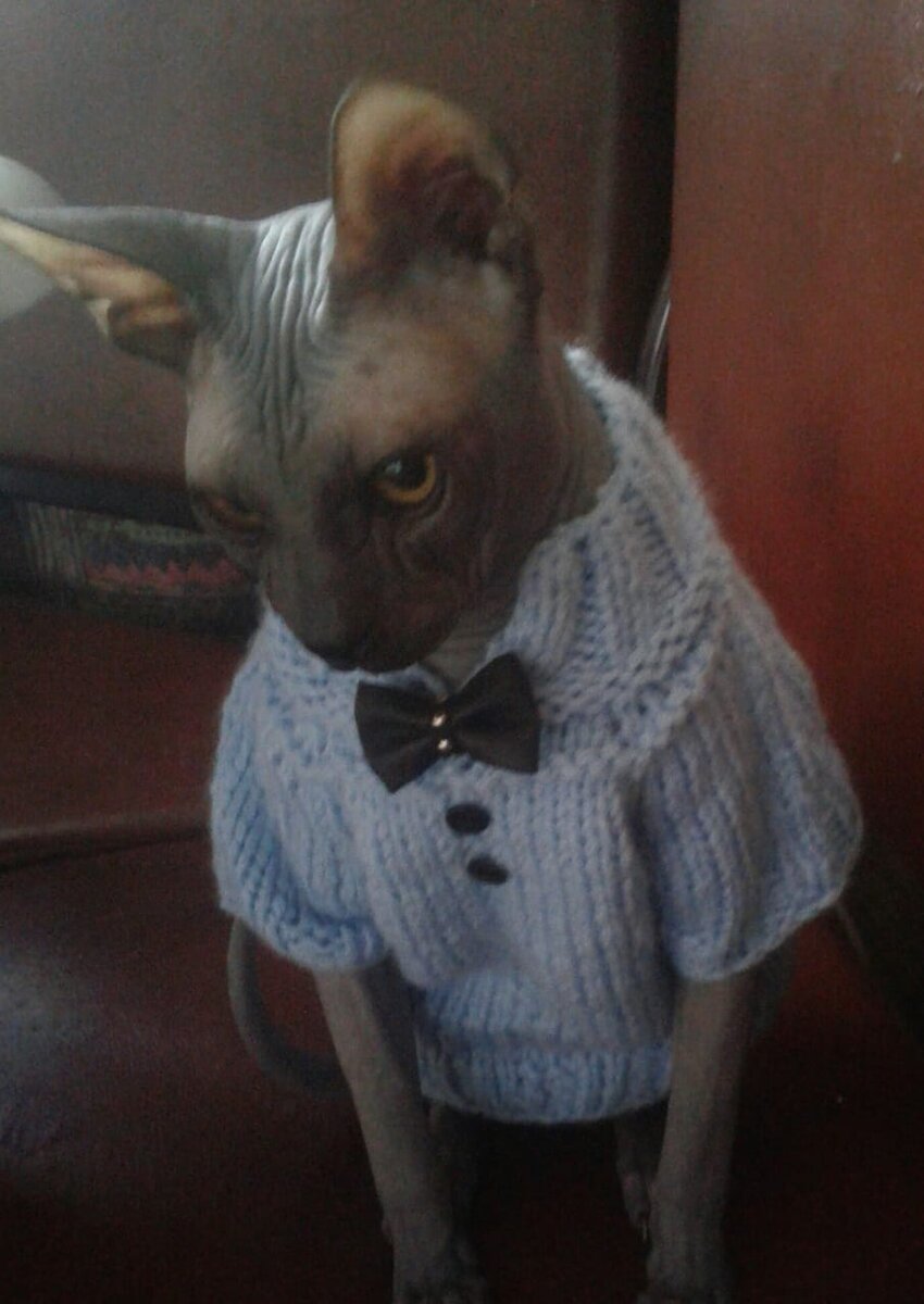 Вот он голубой свитер