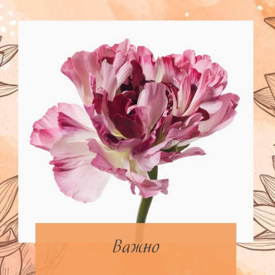 Важно ☝️ как мы проживаем день. Чтобы Завтра было хорошим, нужно научиться
 правильно и хорошо проживать ⚡️Сегодня – осознанно, уметь ориентировать свои
 энергии, стараясь не проявлять злобу🤬, уныние😔, не обижаться и т.д. Следить за
 своими мыслями.
 Чтобы организм был здоровым, нужно относиться с любовью 🥰к своему телу, ко всем
органам, к каждой клеточке. Мысленно обращаться к ним, благодарить🤗. Наши внутренние
и другие органы помогают существовать в этом мире, творить, выполнять свою
Жизненную Задачу и они заслуживают☝️ внимательного и полного любви отношения.
⠀
⠀
⠀
#бацзы #астрология #фэншуй #fengshui #bazi #метафизика #феншуи #феншуй #удача #астролог #консультация #бацзыконсультант #цимень #карма