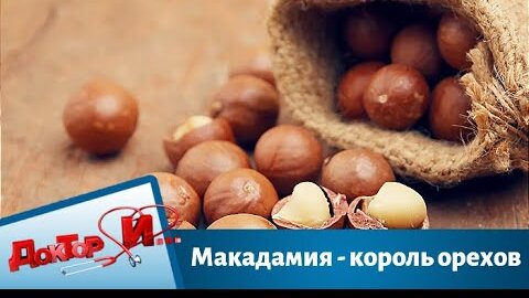 Макадамия - король орехов | Доктор И