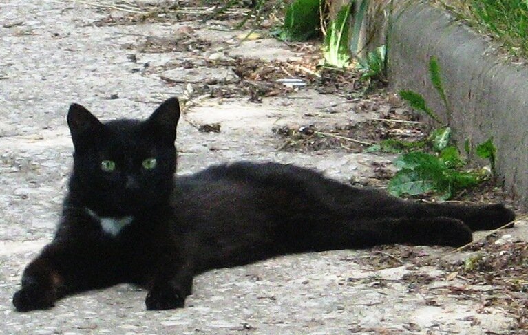 фото Г.Ромадина