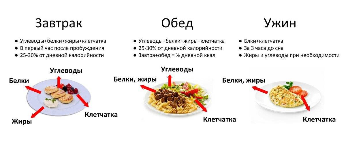 Что нужно есть когда худеешь. Рацион правильного питания. Схема правильного питания. Правильное питание белки углеводы. Схема правильного питания для похудения.