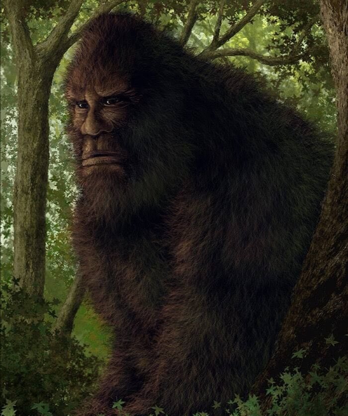 Картинка взята из доступных источников Яндекс фото и картинок