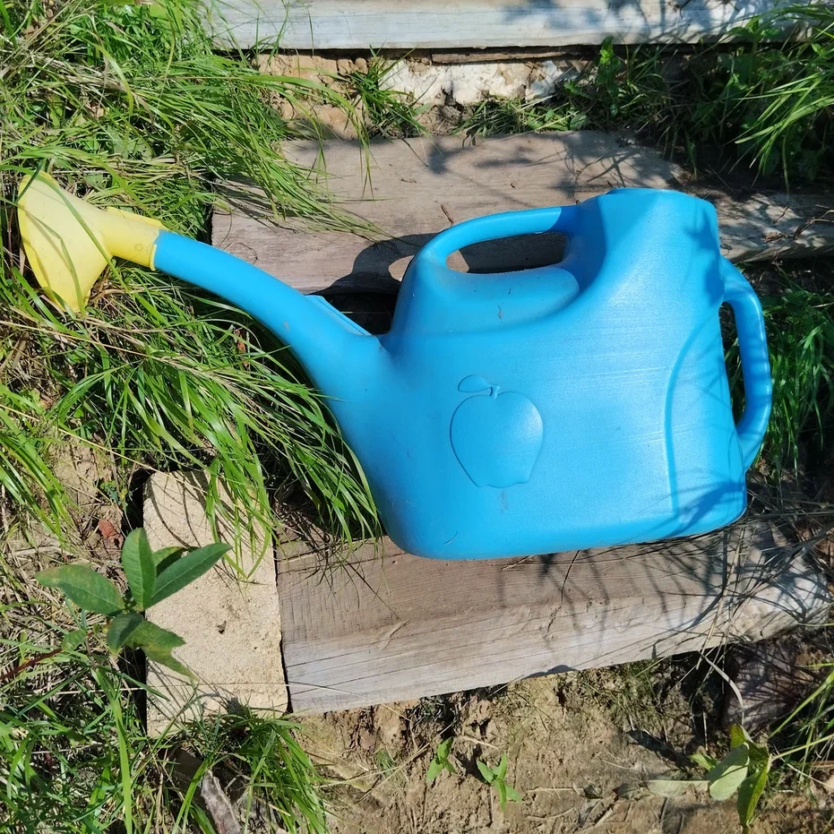 Вот она, наша помощница! И таких сменилось немало, а мы все насосом не воспользуемся!