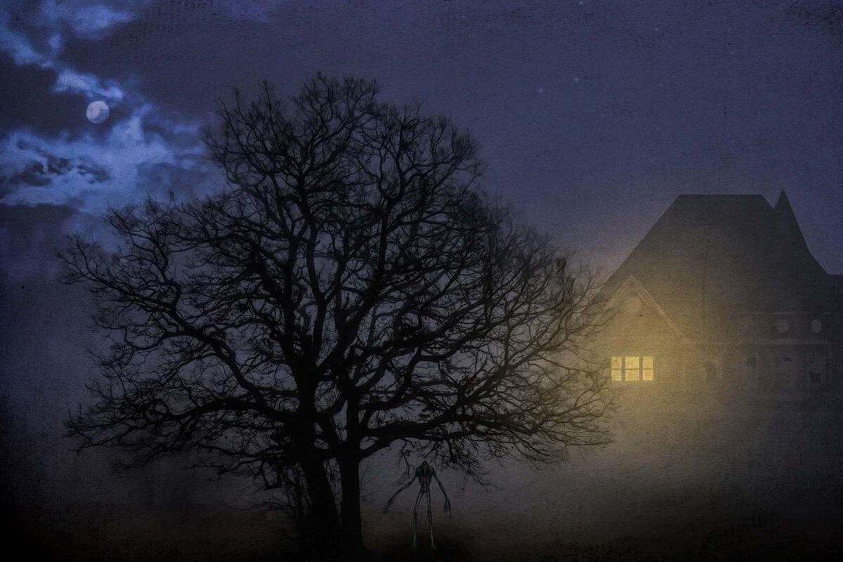 яндекс картинки