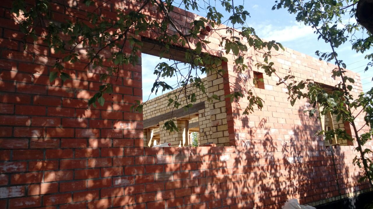 Фото автора.