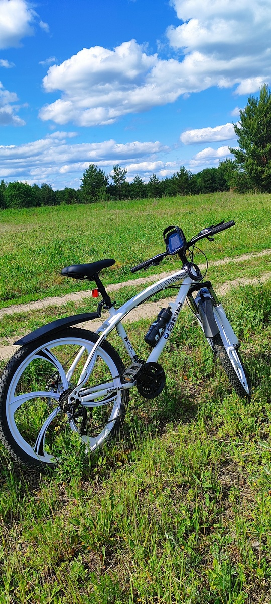 мой новый боевой конь