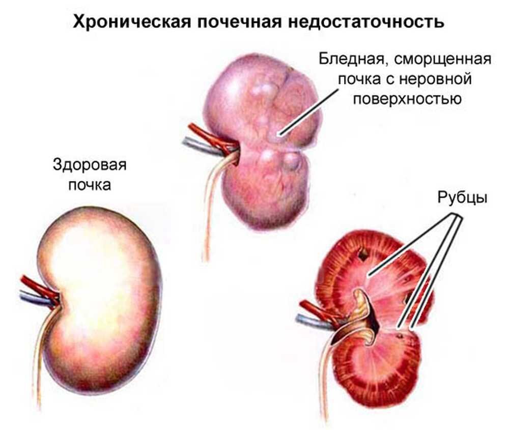 Изображение с сайта https://kidbooms.ru/wp-content/uploads/d/a/8/da88b889e08bd8fb79a02bf2c679eec3.jpg