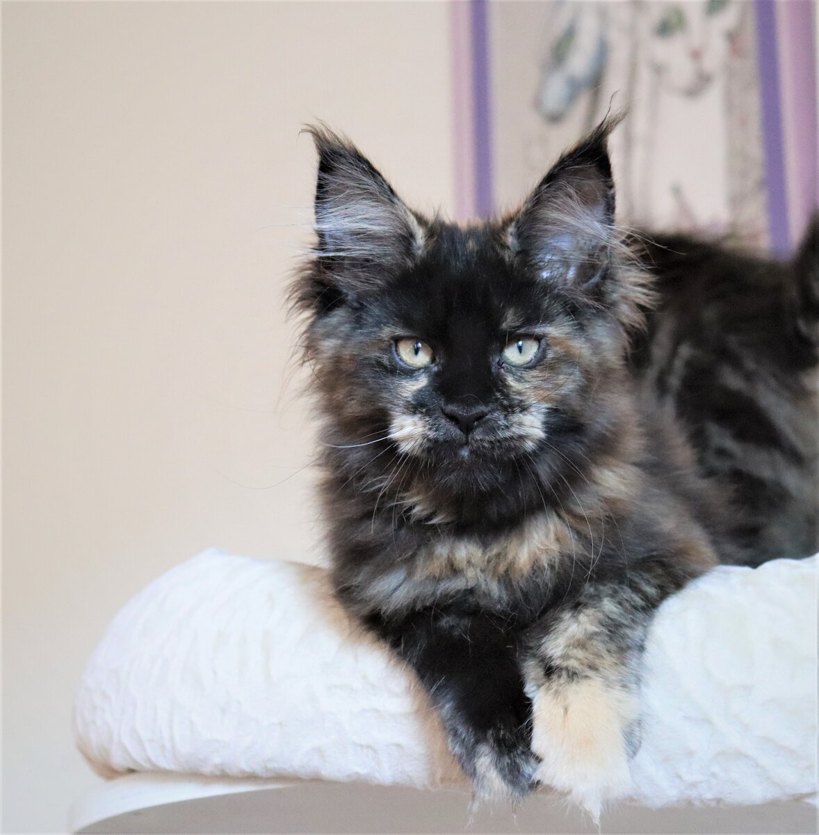 Фото из личного архива.