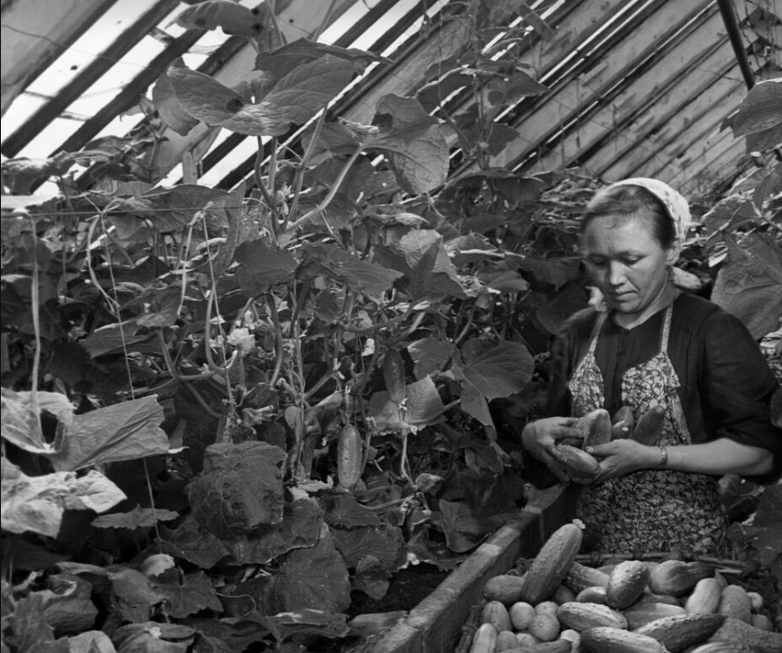 Фото М. Редькина / РИА Новости