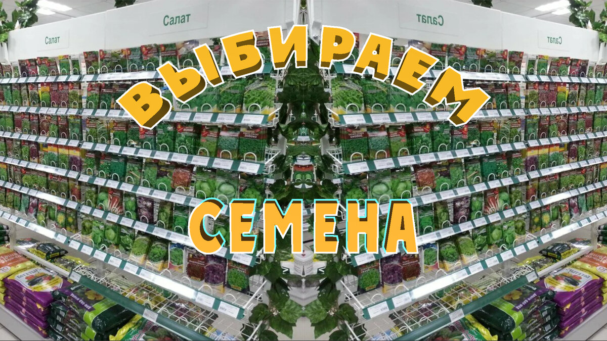 Как здесь не ошибиться?