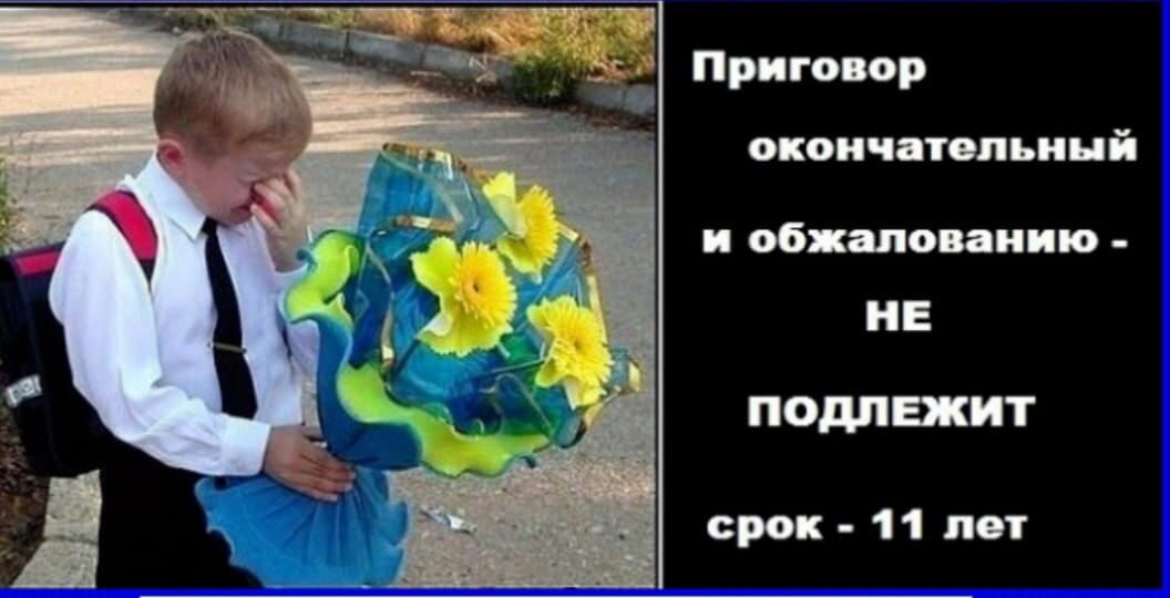 Учебный год заканчивается скоро все родители узнают свои оценки картинки