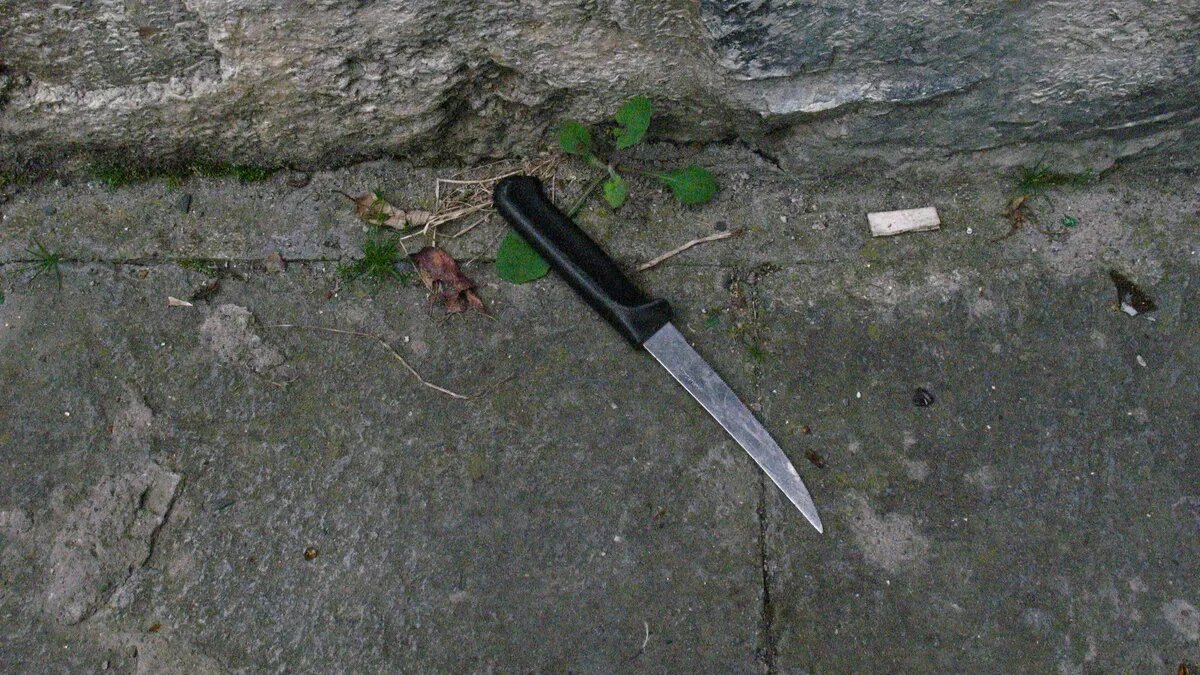 Фото: flickr.com / Михал Орела