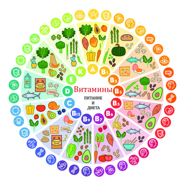 Шпаргалка: какие витамины нам необходимы и где они содержатся.