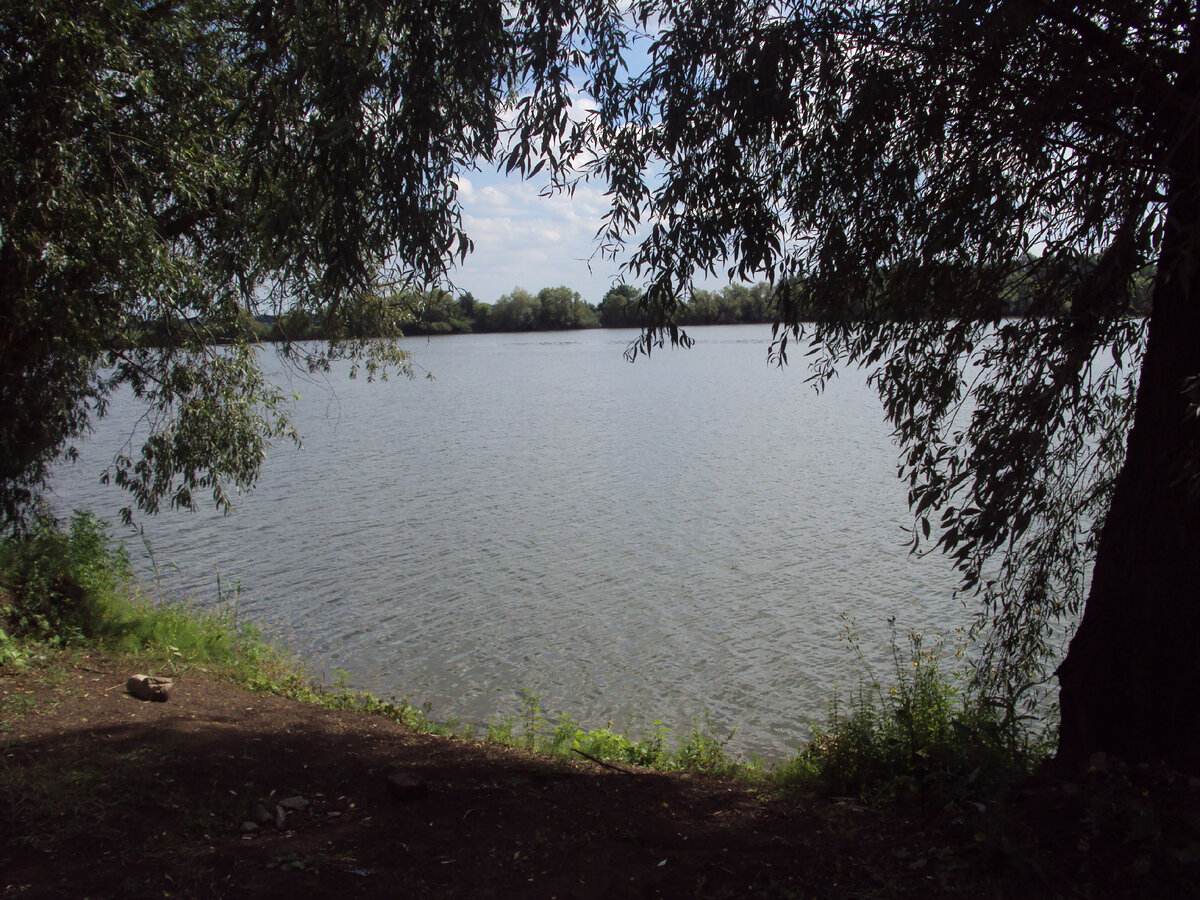 Вот оно, ОТЕЧЕСТВО!