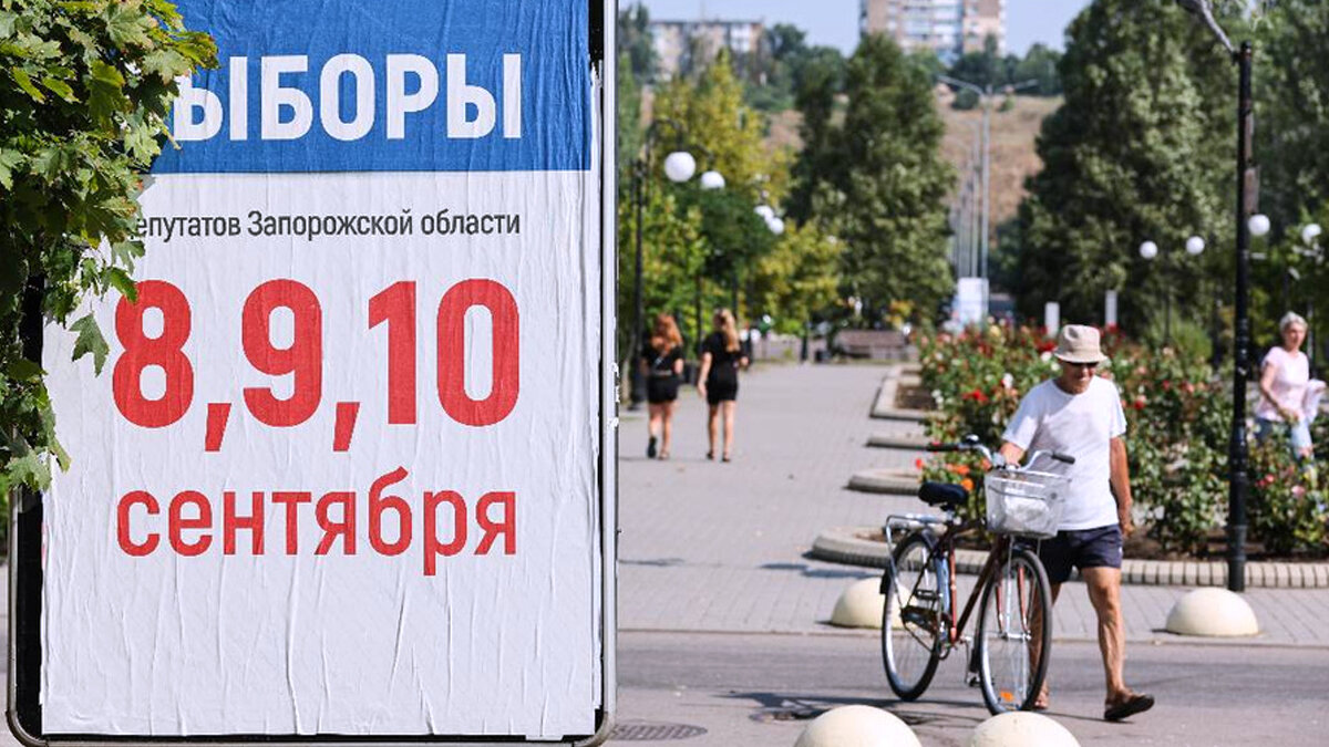 Баннер к Единому дню голосования. Источник: tass.ru 