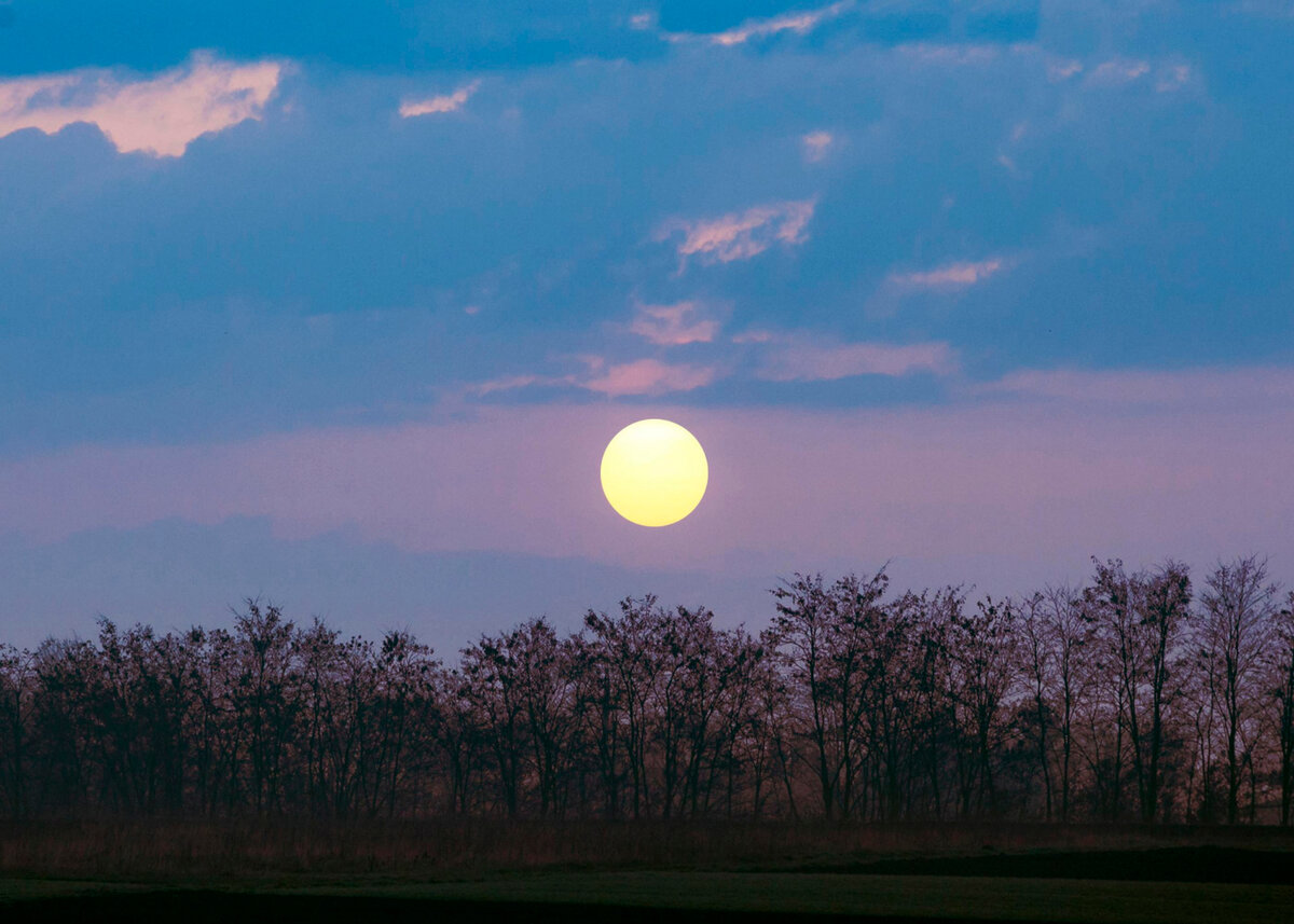  Фото: @kjpargeter, freepik.com 