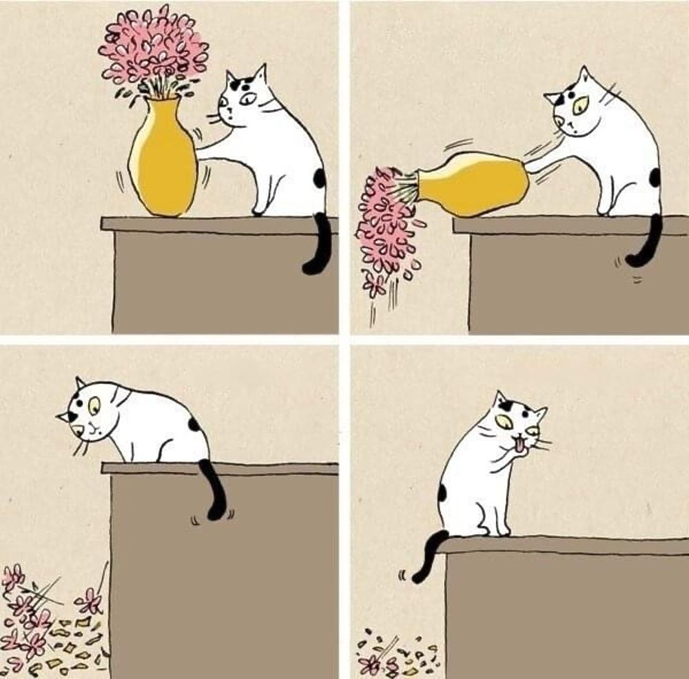 Яндекс.Картинки