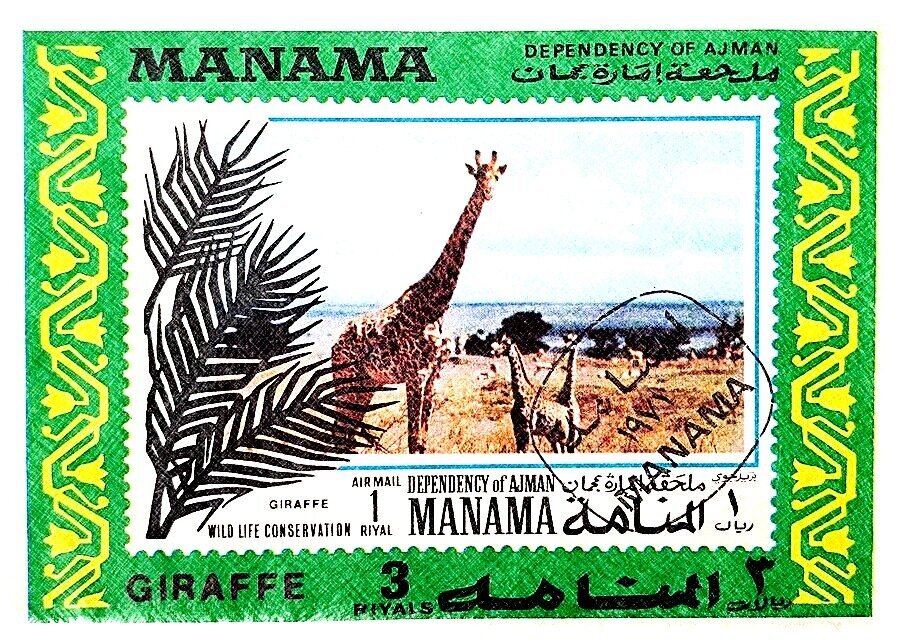 Добавьте описание