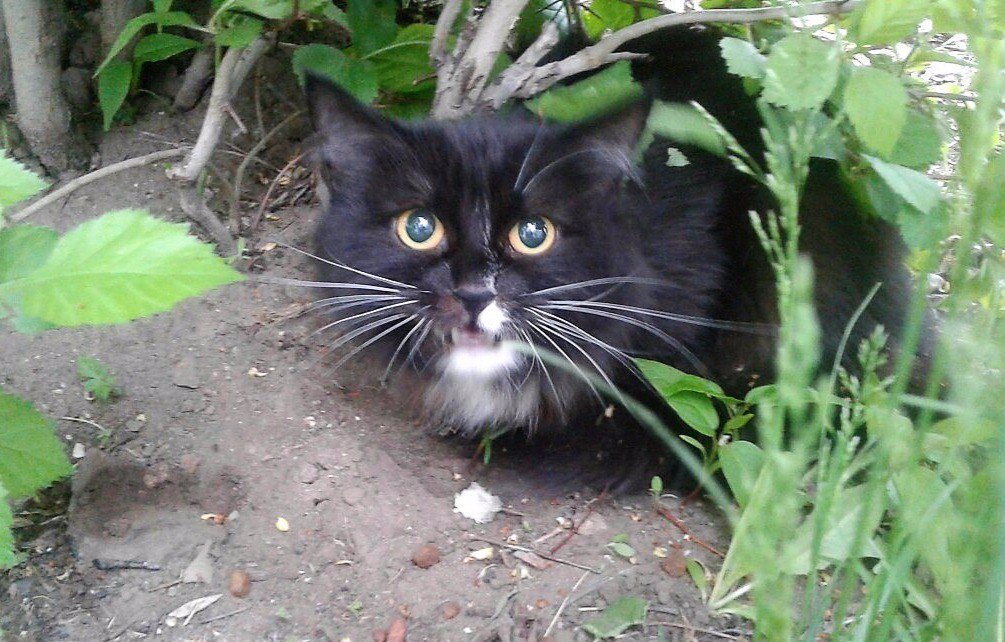 Фото из интернета